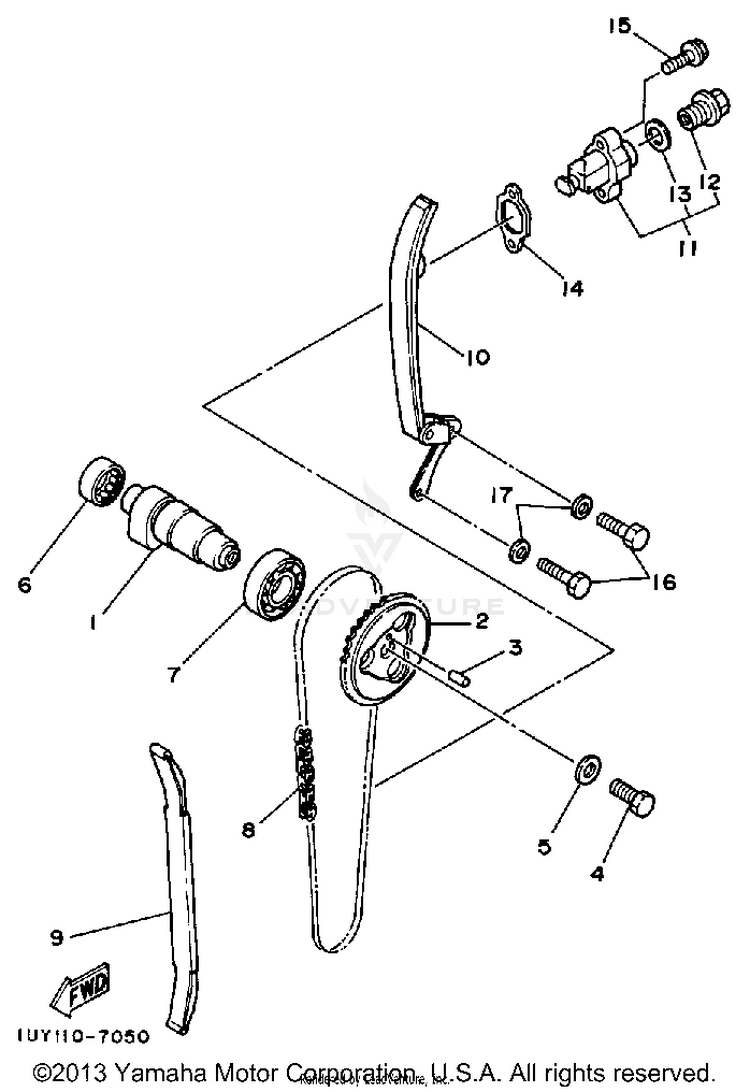 Camshaft-Chain Schematic