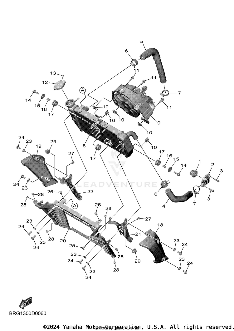 Radiator & Hose MT03 - MT03SCB - 2025 Schematic