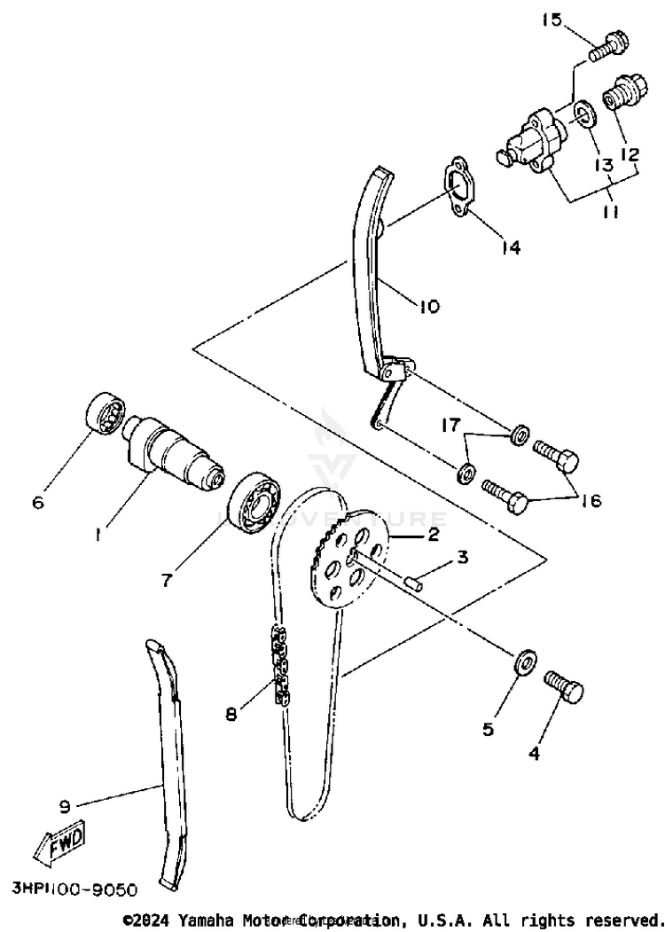 Camshaft-Chain Schematic