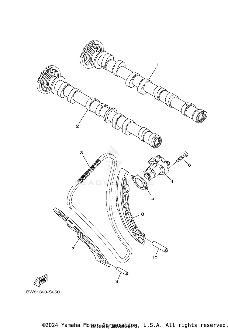 Camshaft & Chain Schematic