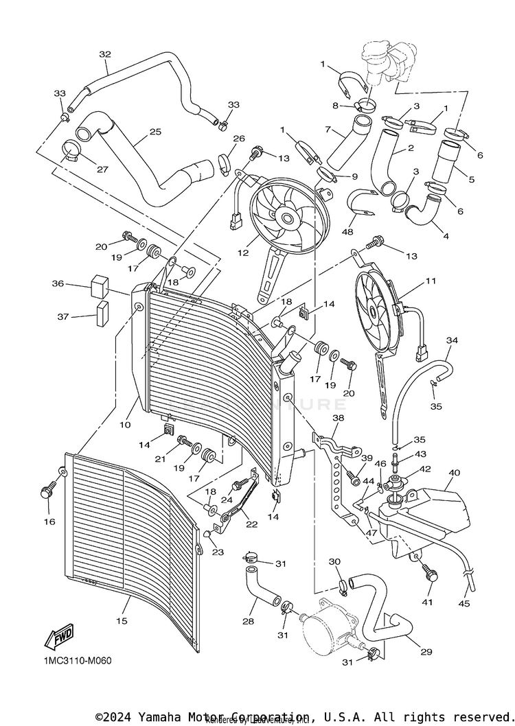 Radiator Hose Schematic