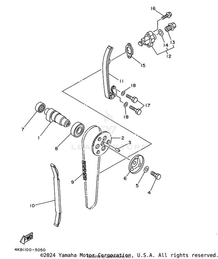 Camshaft. Chain Schematic