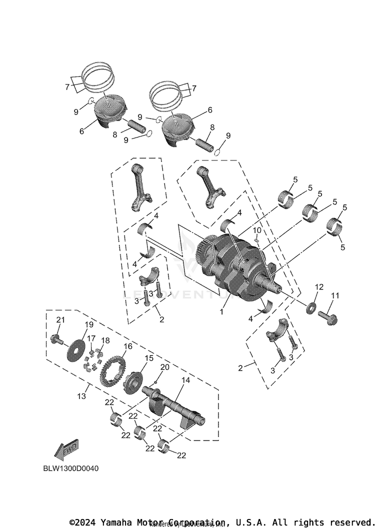 Crankshaft & Piston Schematic
