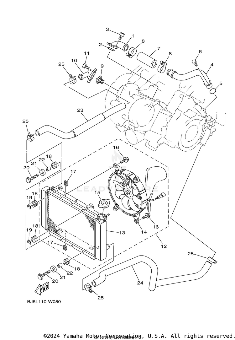 Radiator & Hose Schematic