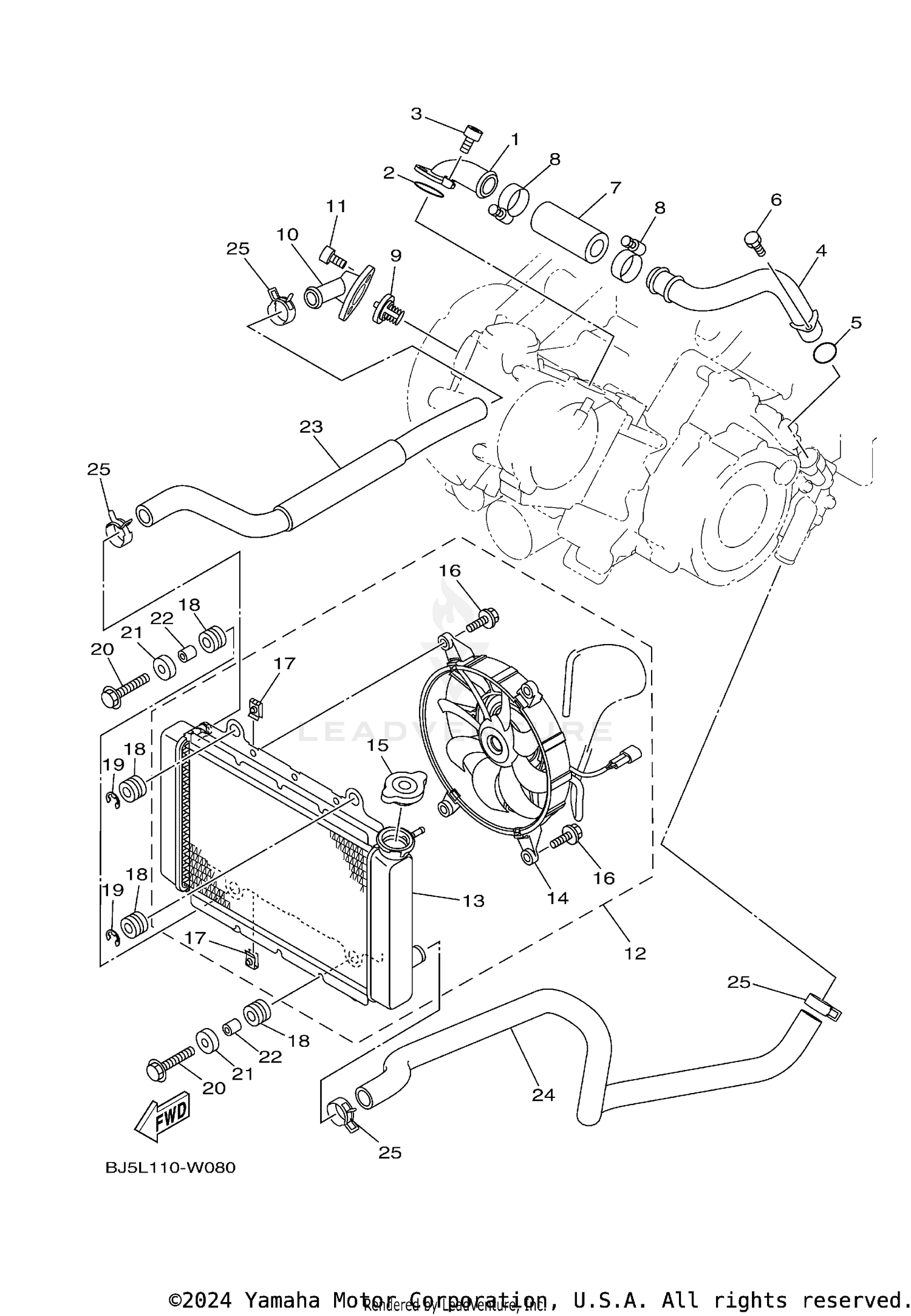 RADIATOR & HOSE