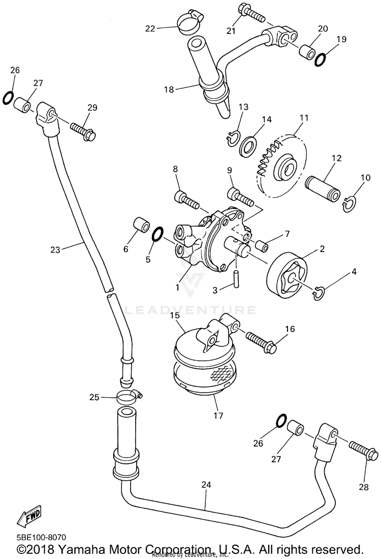 Oil Pump Schematic