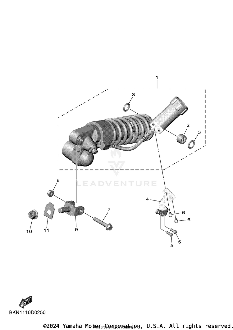 Rear Suspension Schematic