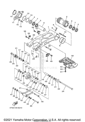 Rear Arm Schematic