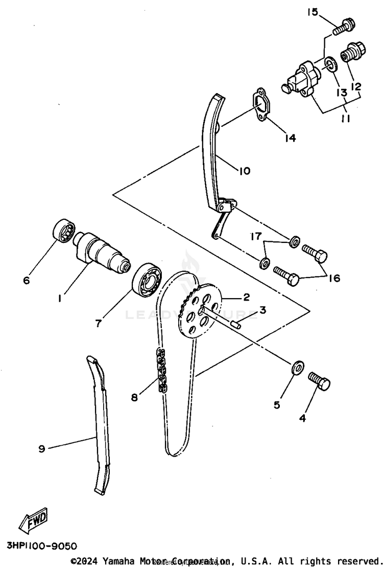 Camshaft - Chain Schematic