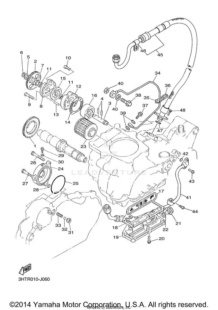 Oil Pump Schematic