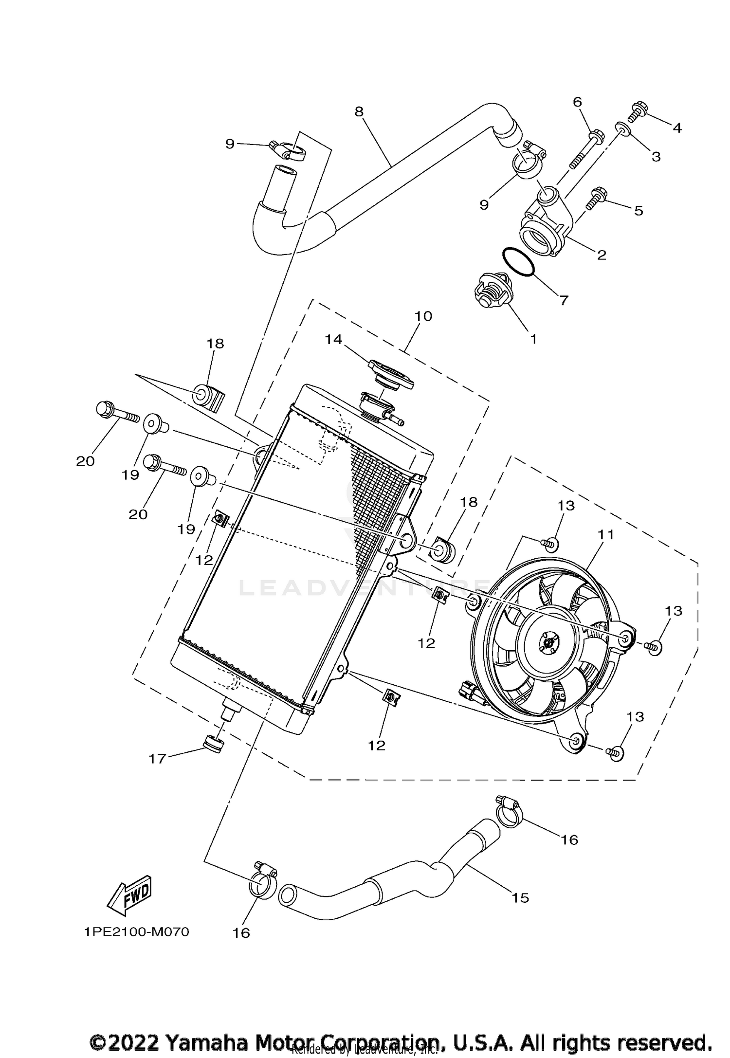RADIATOR & HOSE