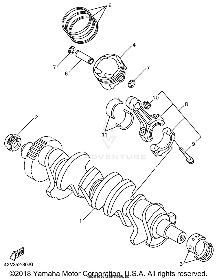 Crankshaft Piston Schematic