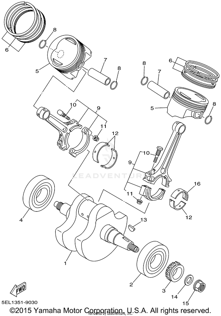 Crankshaft Piston Schematic