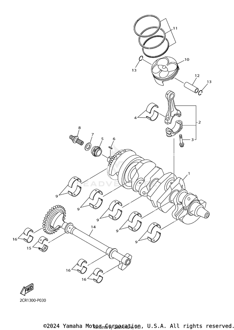 Crankshaft Piston Schematic