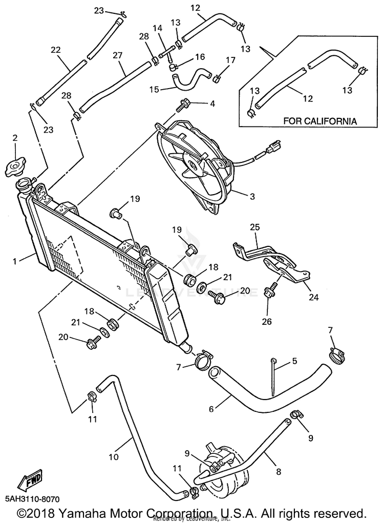 Radiator Hose Schematic