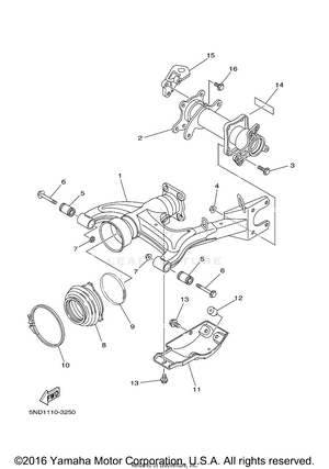 Rear Arm Schematic