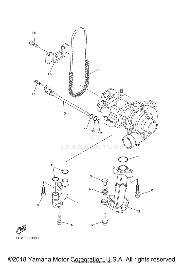 Oil Pump Schematic
