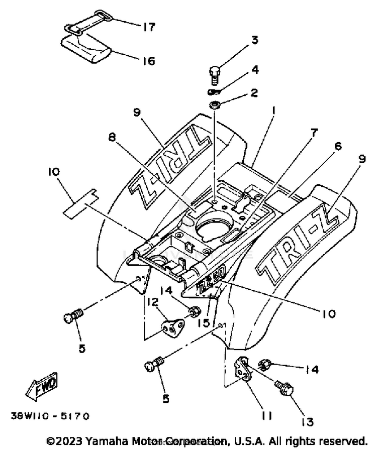 Rear Fender Schematic