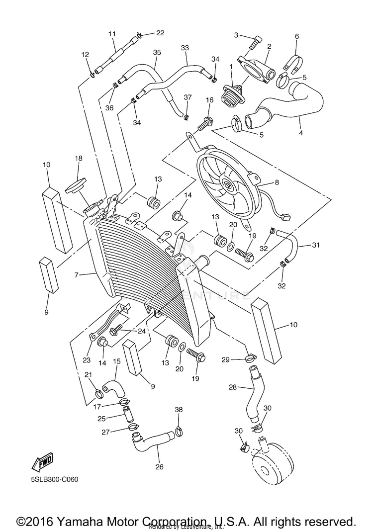 Radiator Hose Schematic