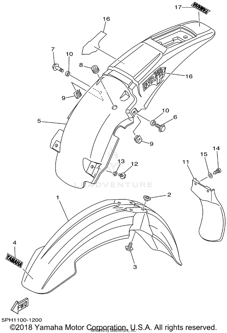 Fender Schematic