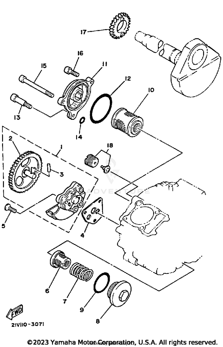 Oil Pump Schematic