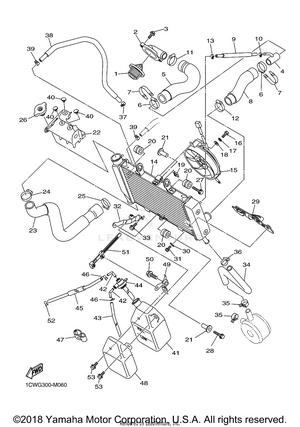 Radiator Hose Schematic