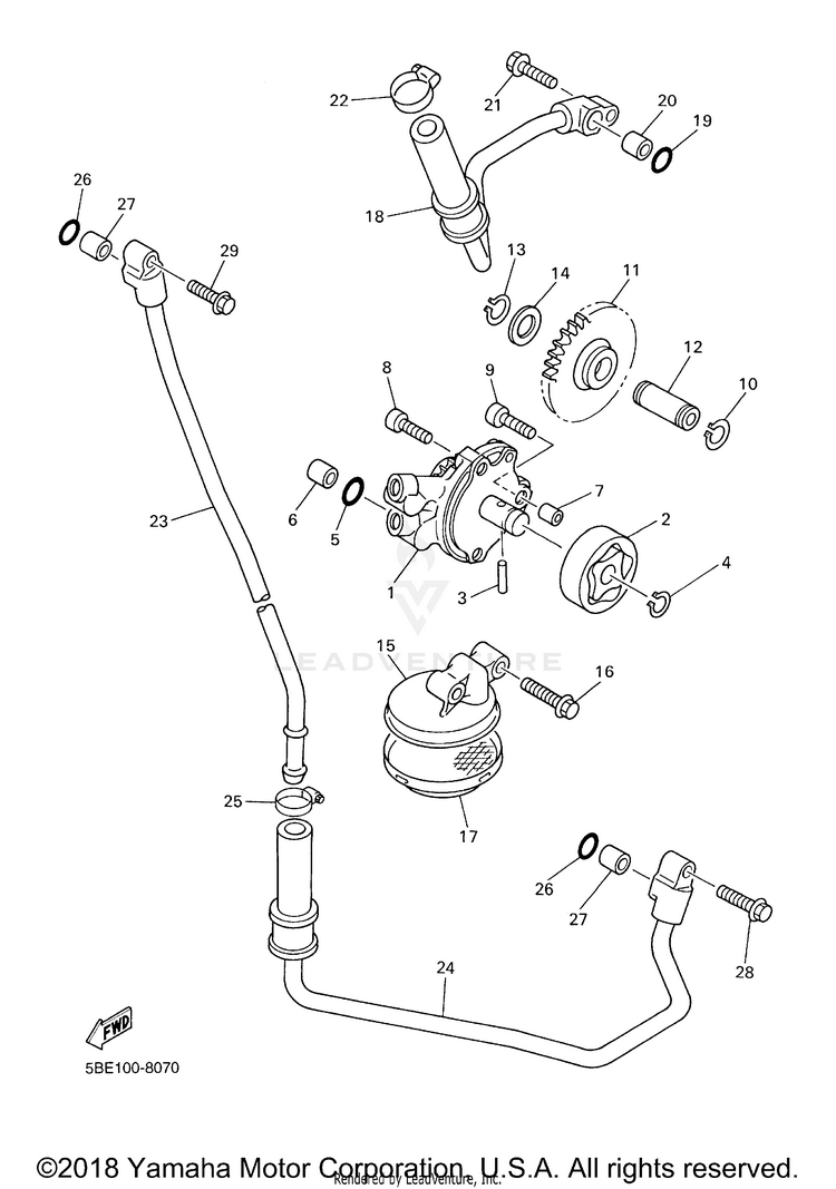 Oil Pump Schematic