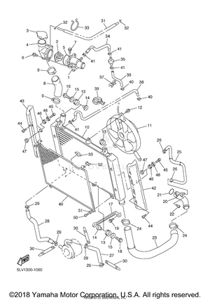 Radiator Hose Schematic