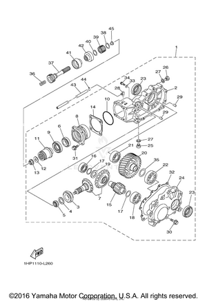 Drive Shaft Schematic