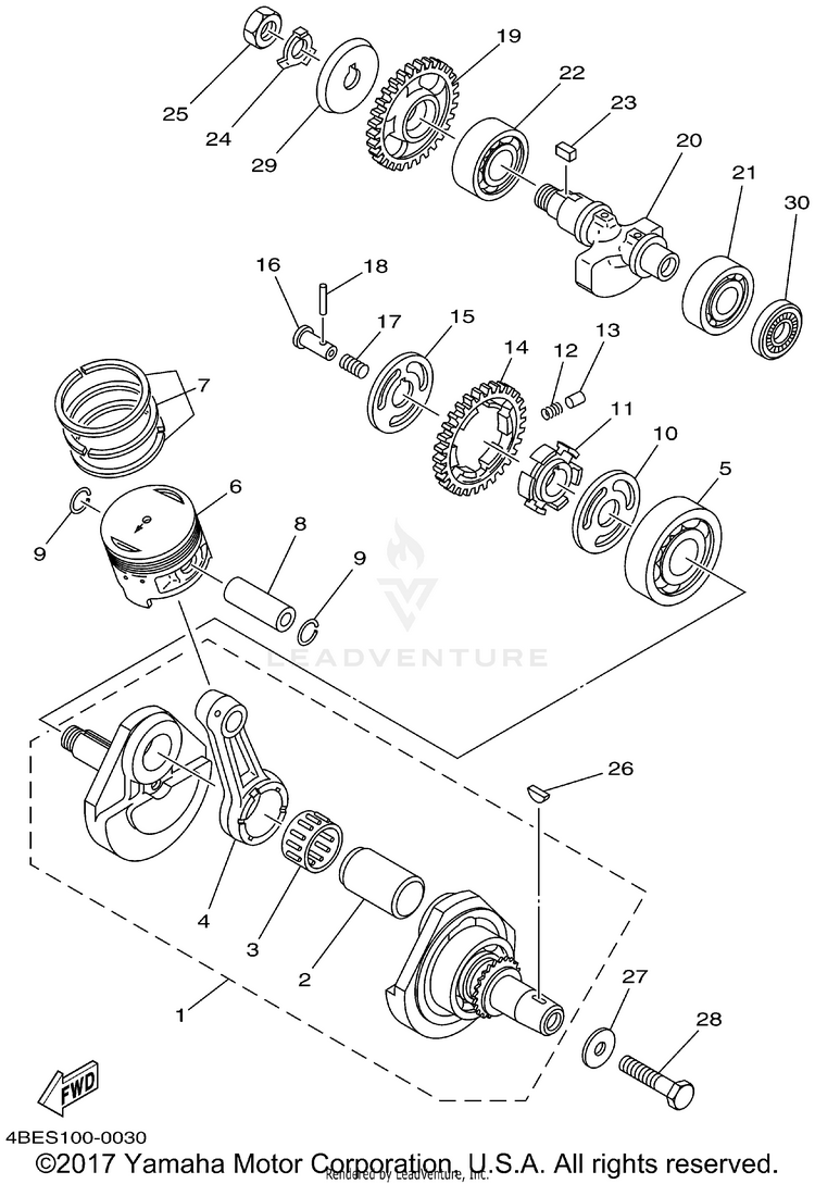 Crankshaft Piston Schematic