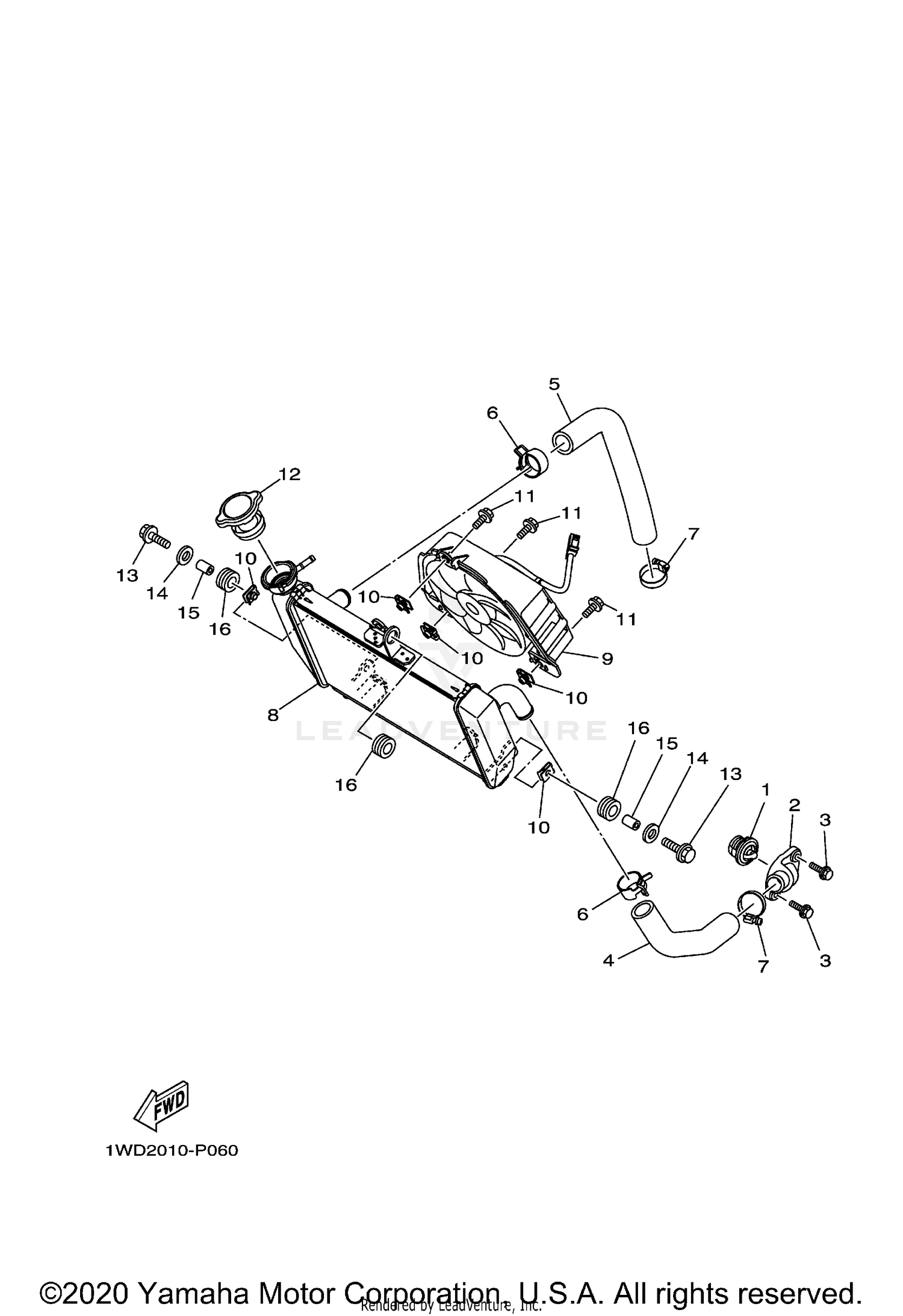 RADIATOR & HOSE