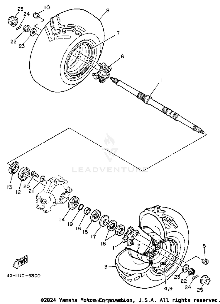 Rear Wheel Schematic