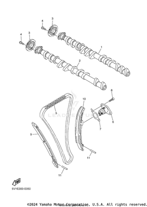 Camshaft Chain Schematic