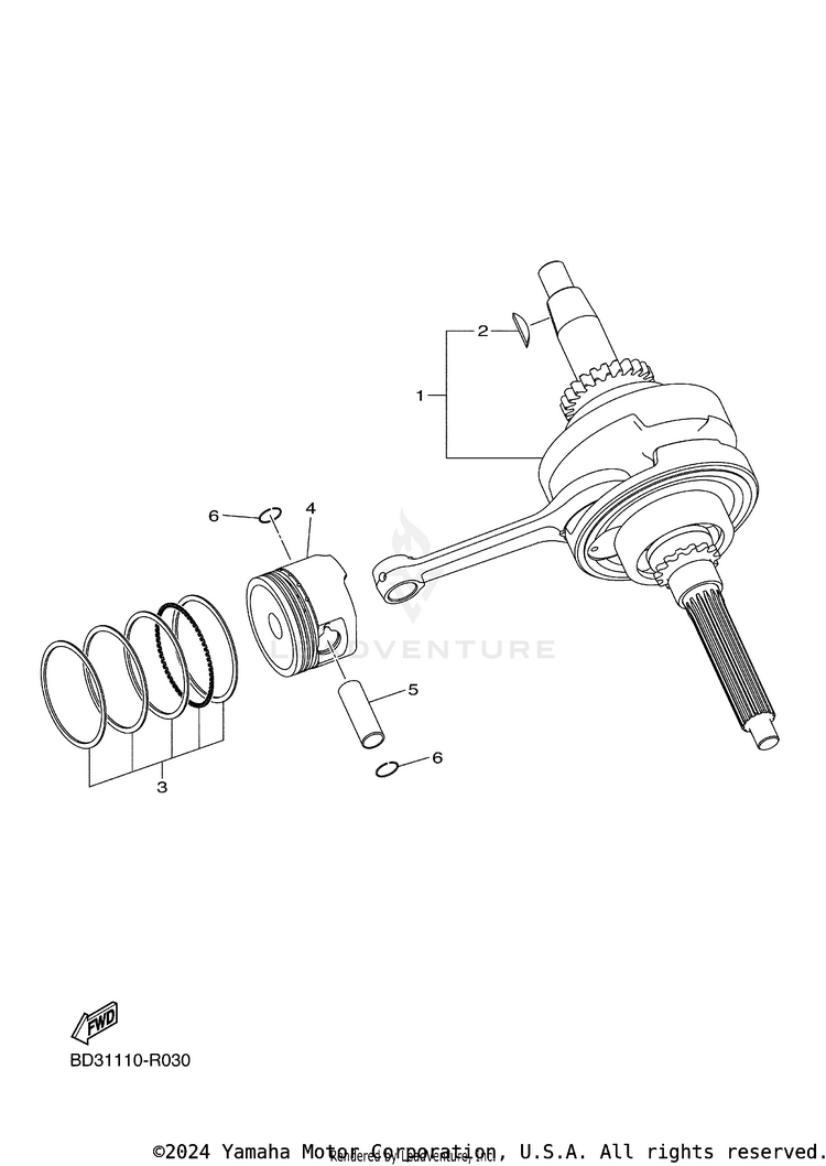 Crankshaft & Piston Schematic