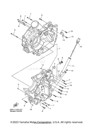 Crankcase Schematic