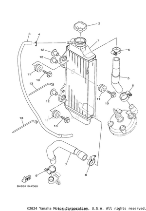Radiator & Hose Schematic