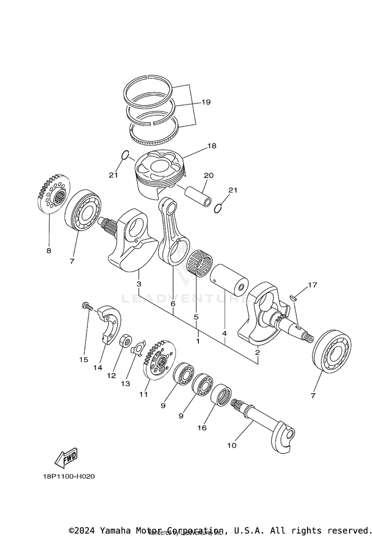 Crankshaft & Piston Schematic