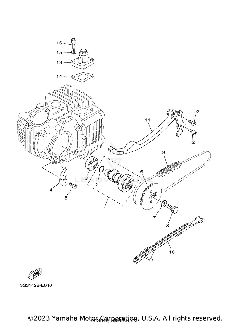 Camshaft & Chain Schematic