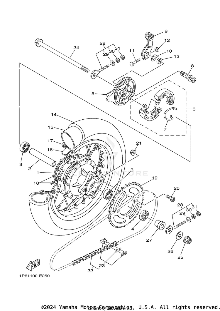 Rear Wheel Schematic