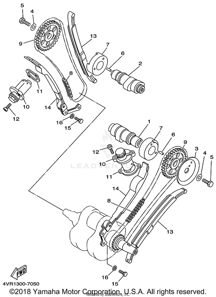 Camshaft Chain Schematic
