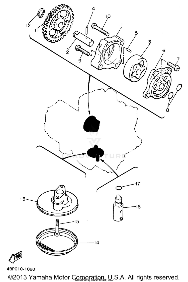 Oil Pump Schematic