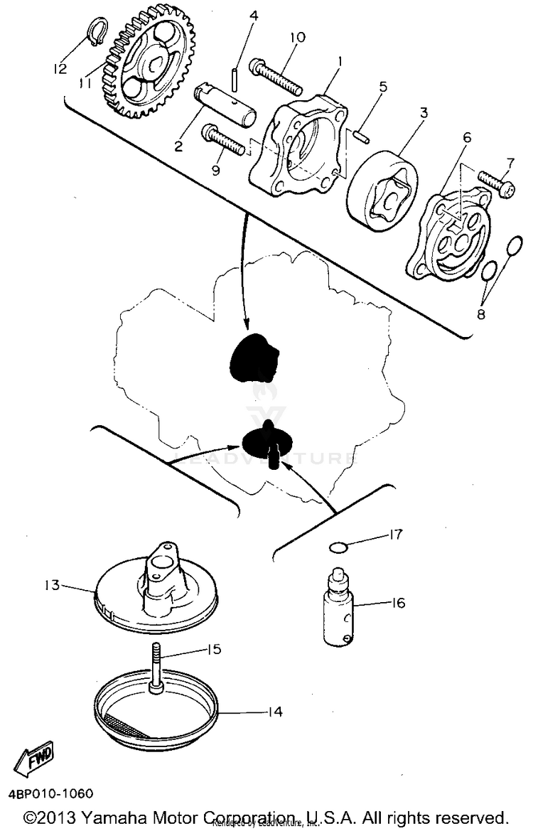 Oil Pump Schematic