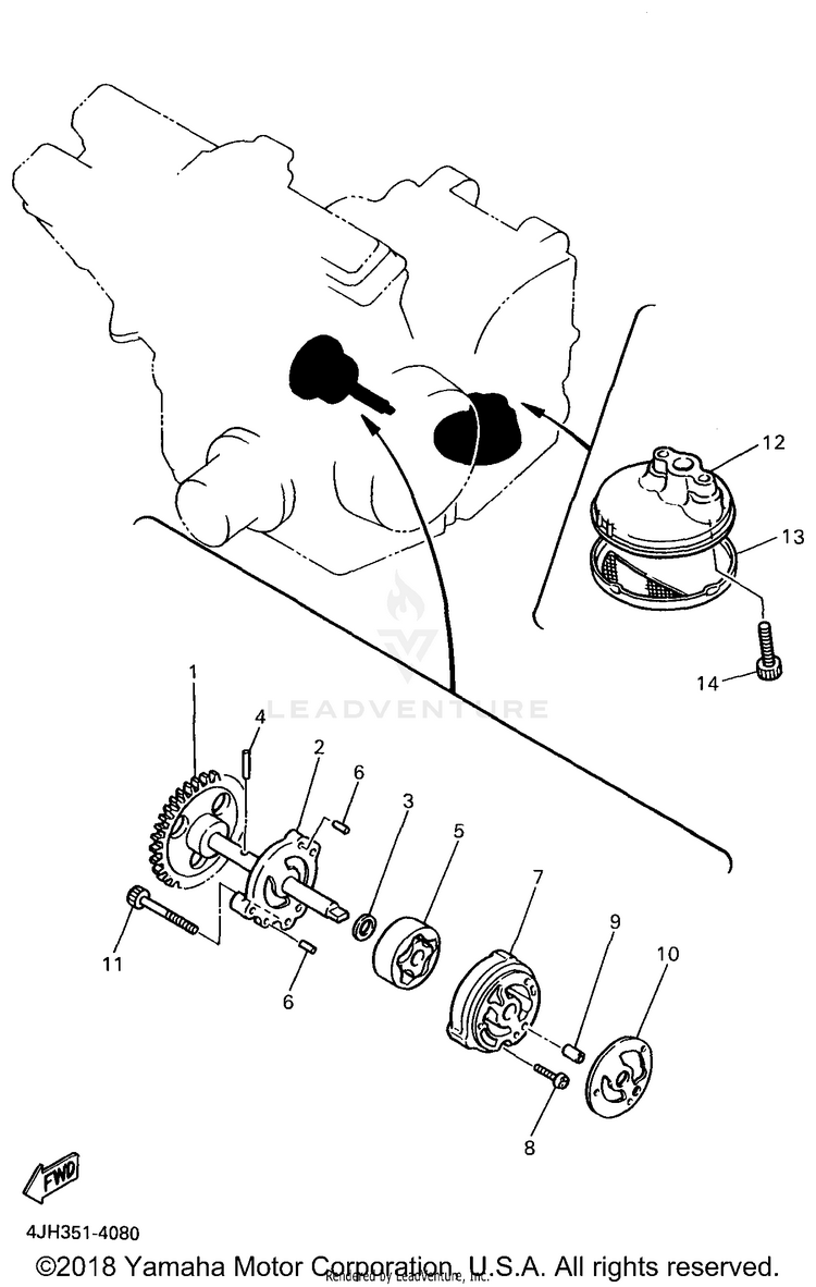 Oil Pump Schematic