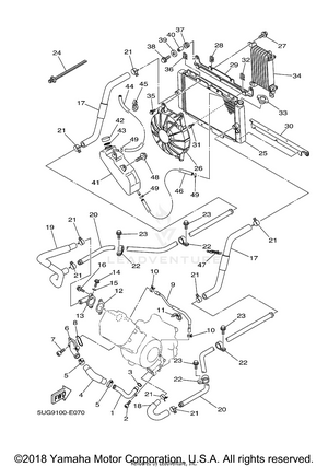 Radiator Hose Schematic