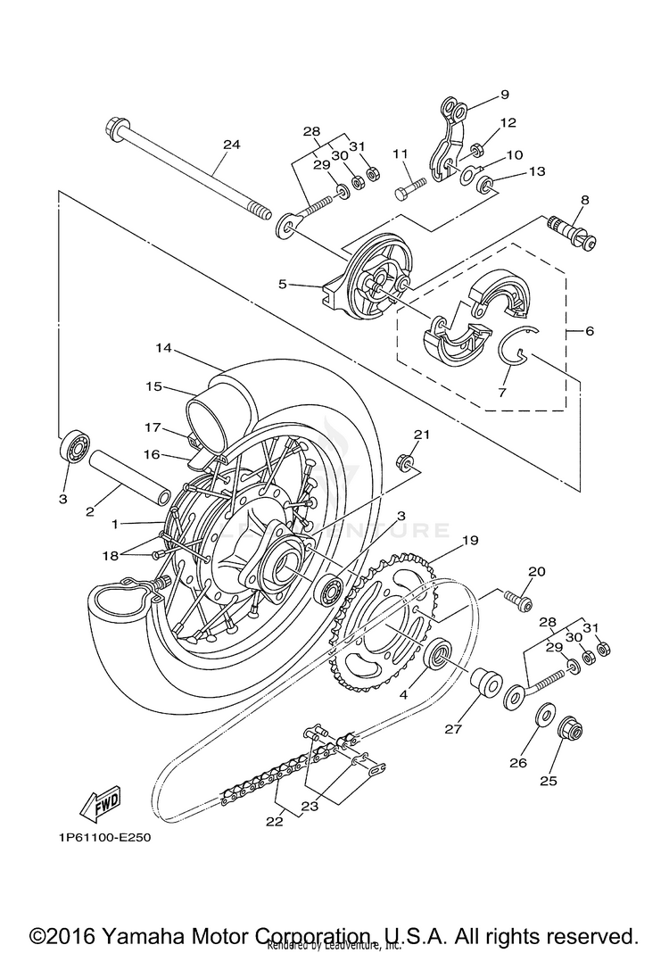 Rear Wheel Schematic