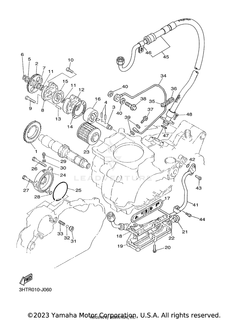 Oil Pump Schematic