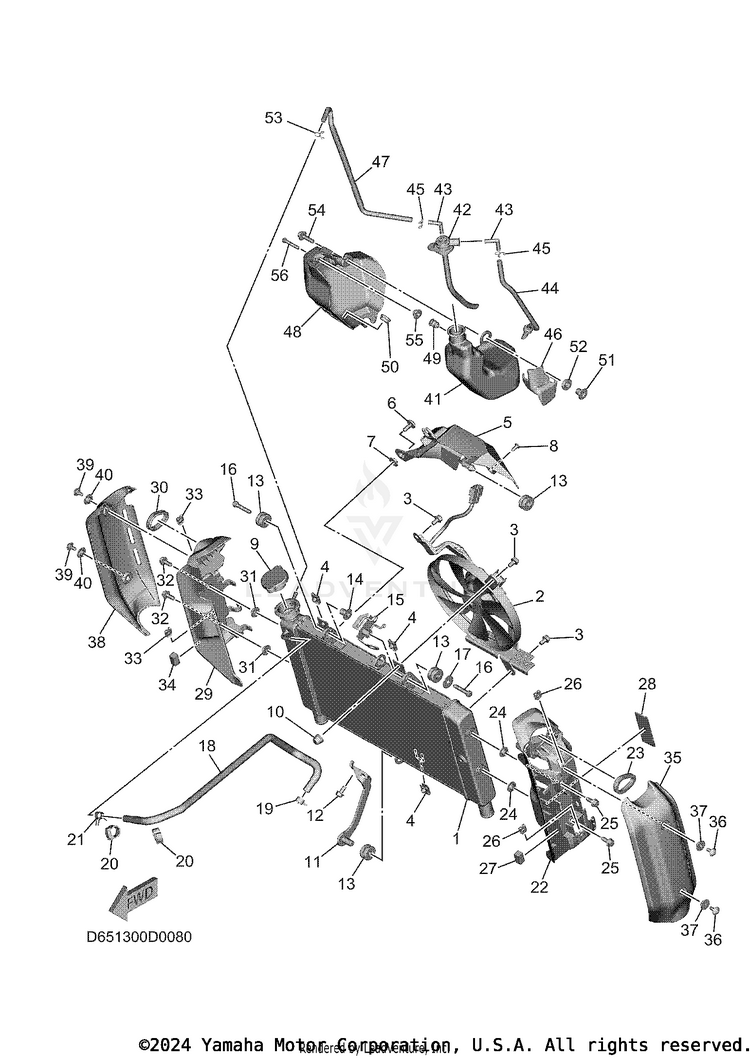 Radiator & Hose XSR900 - XSR900SCB - 2025 Schematic