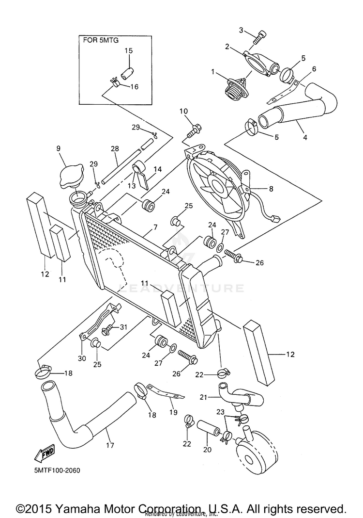 Radiator Hose Schematic