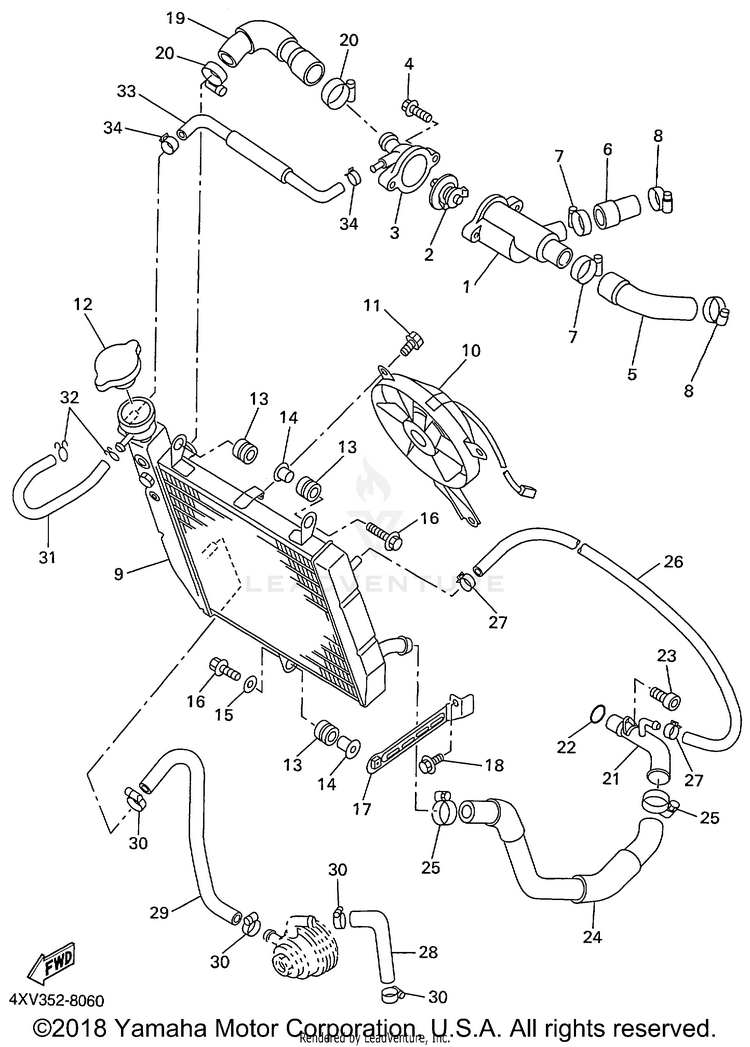 Radiator Hose Schematic