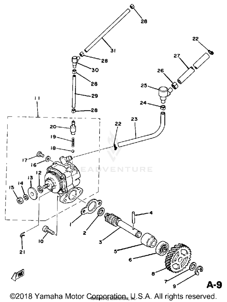 Oil Pump Schematic